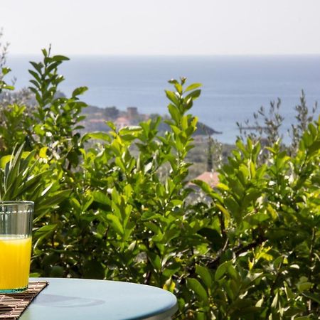 Orfea'S Place Riglia Екстериор снимка